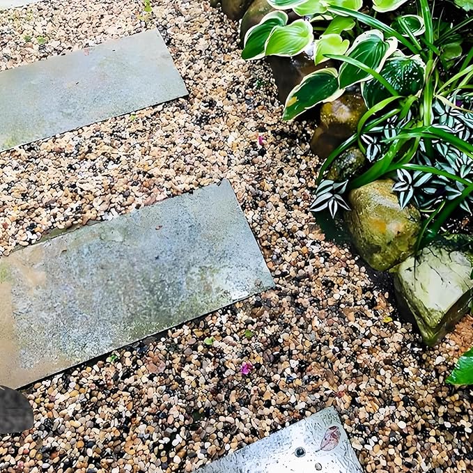 Poilished Fish Tank Gravel, 3/8 Inch Pebbles for Indoor Plants, Decorative Stones River Rocks for Succulent Soil Cover, Cactus, Aquarium, Vase Filler and Outdoor Garden Landscaping